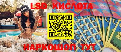 ПСИЛОЦИБИНОВЫЕ ГРИБЫ Гай