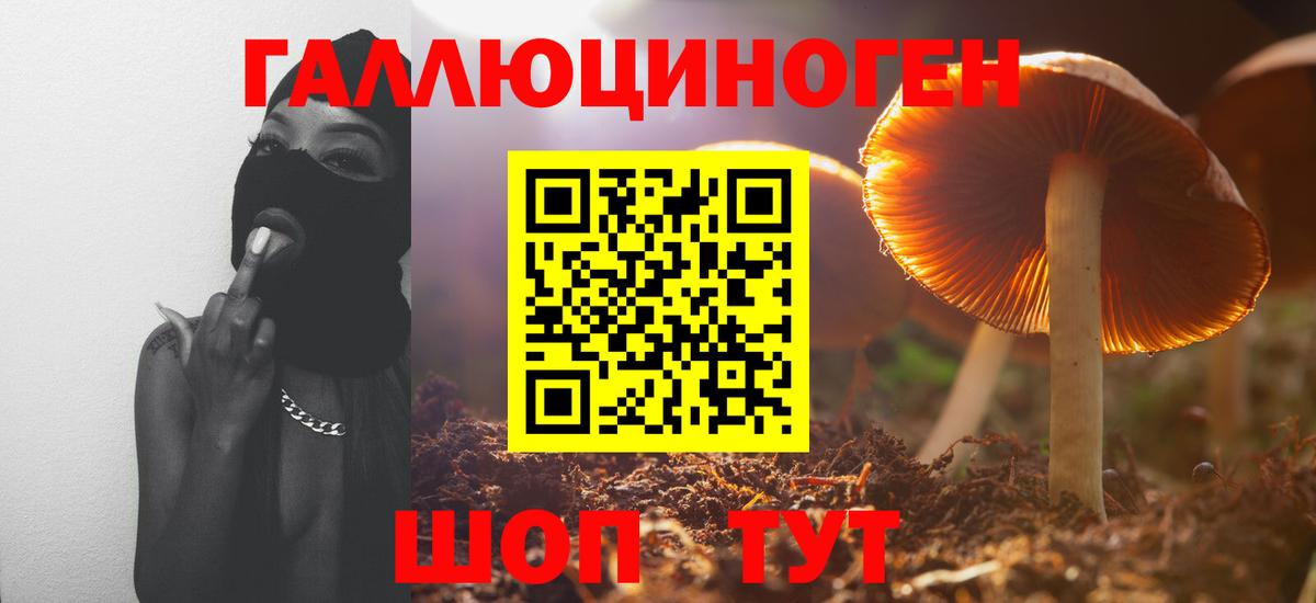 Губкинский  Псилоцибиновые грибы ЛСД  Галлюциногенные грибы GOLDEN TEACHER  Вход с VPN 