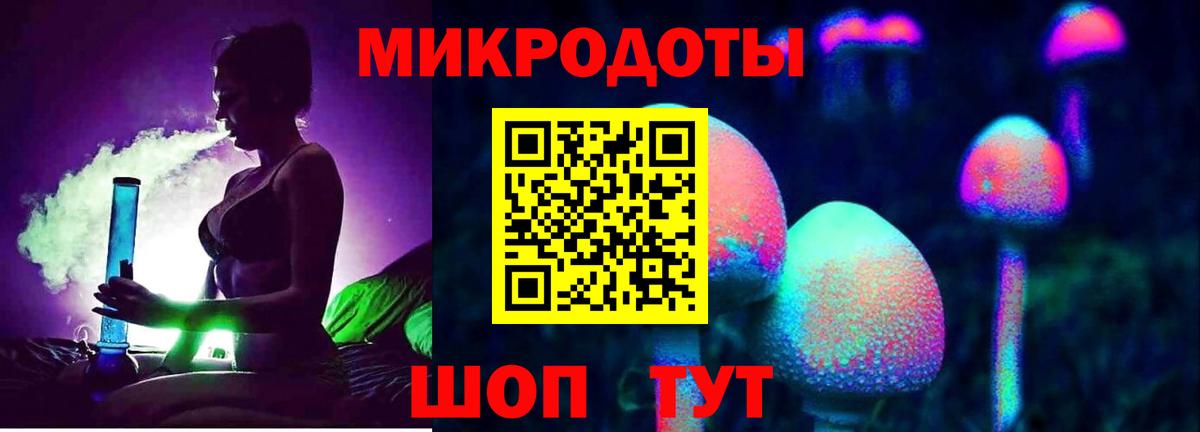 Галлюциногенные грибы Psilocybine cubensis Губкинский